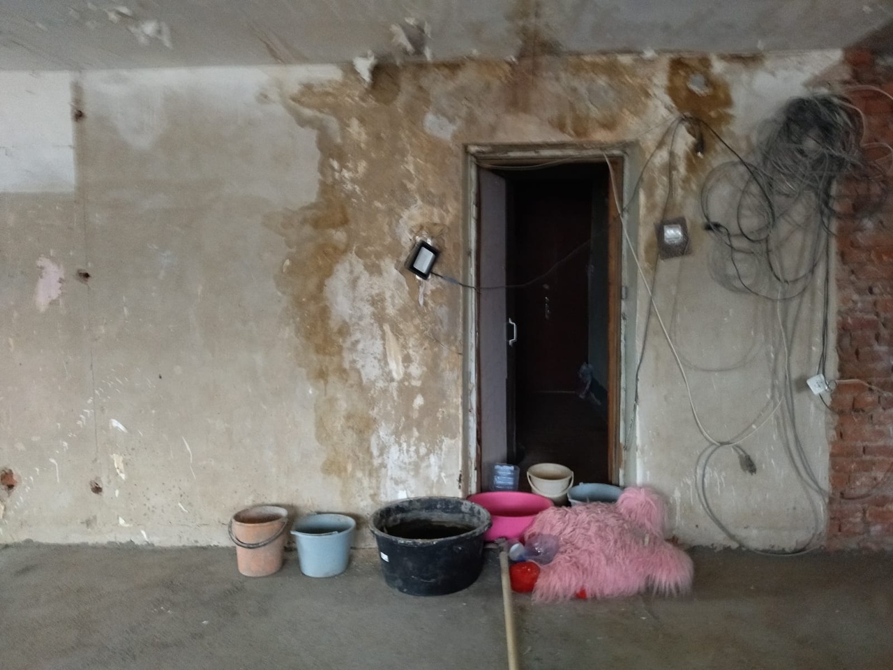 «Уже растут грибы»: в г. Щекино люди не могут жить в собственной квартире из-за страшной сырости