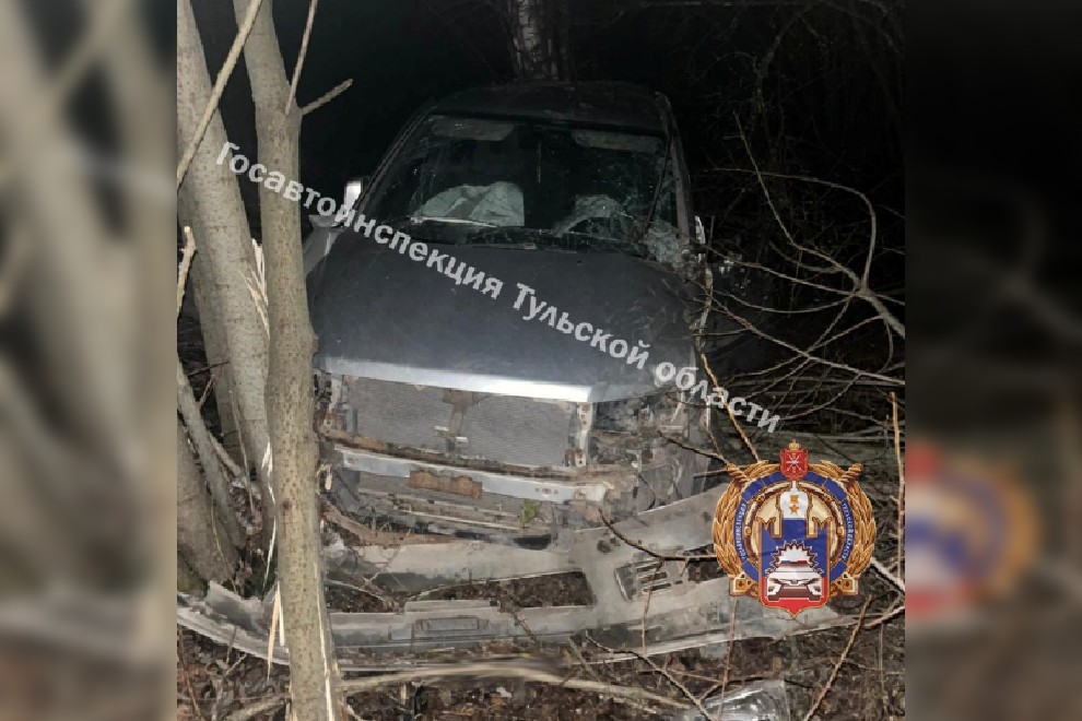 В Тульской области Mitsubishi улетел в кювет