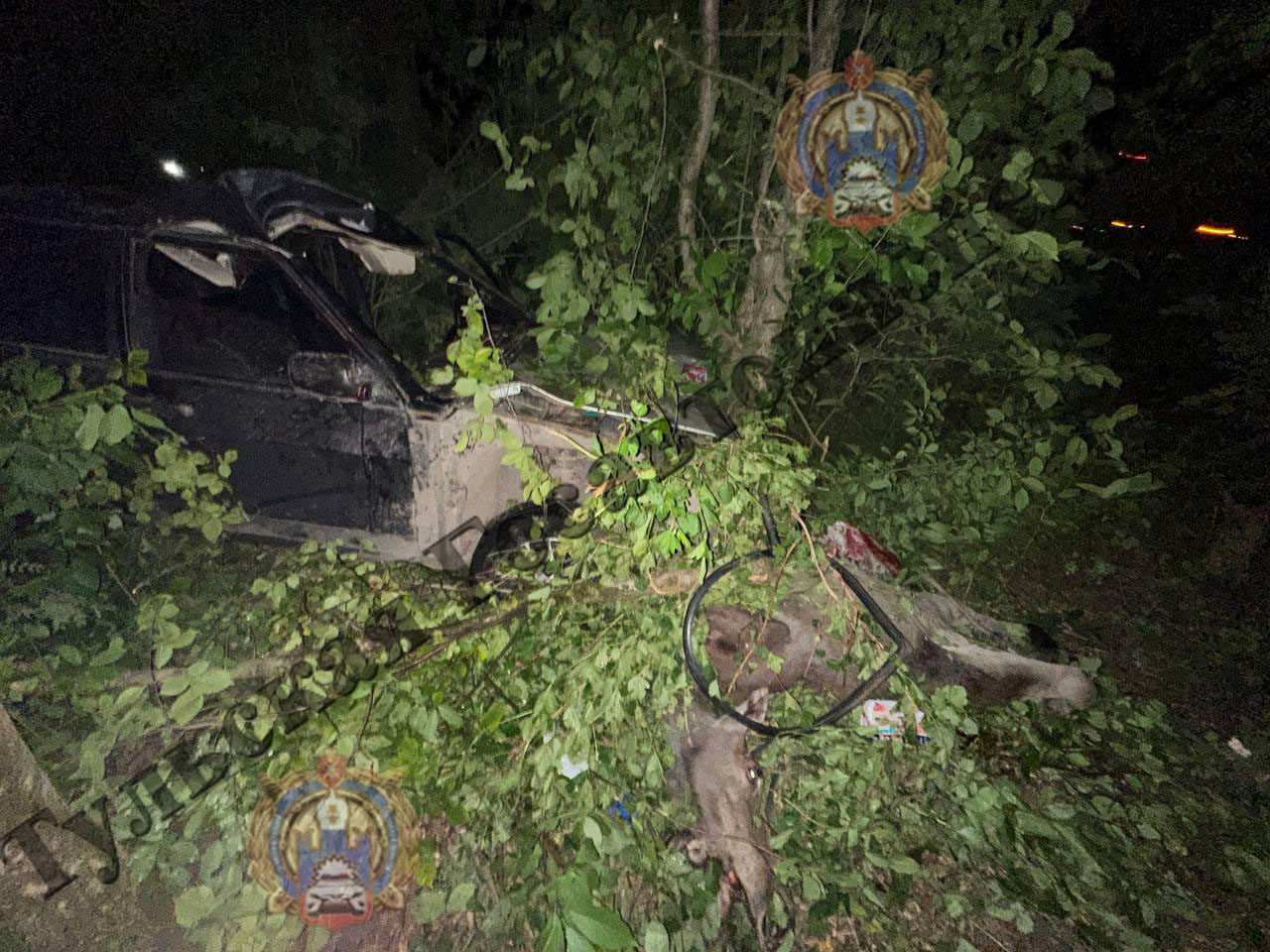 В Киреевском районе водитель ВАЗ сбил лося