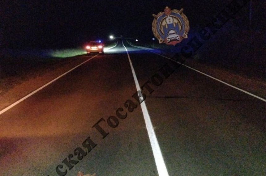 Водитель «КамАЗа» сбил на дороге пешехода в Белевском районе