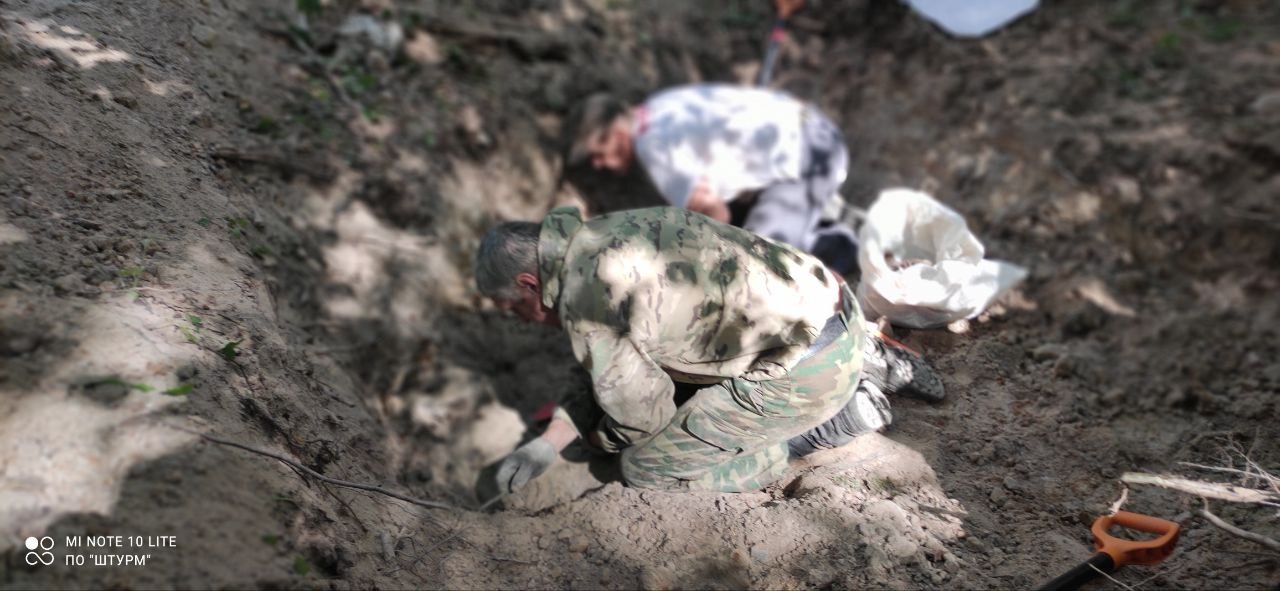 В Тульской области обнаружили останки 13 красноармейцев