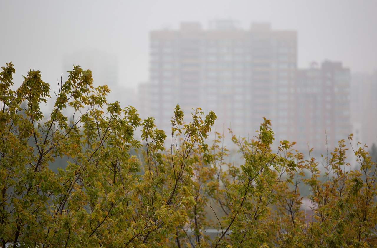 Утром 4 октября в Туле ожидается туман