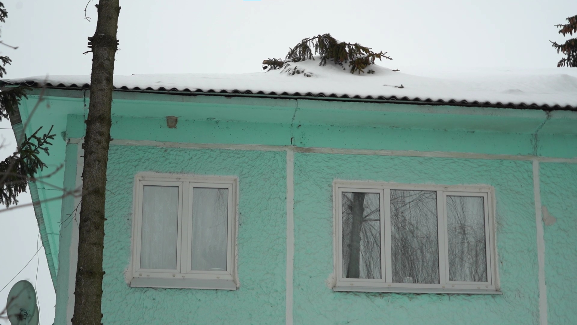 Под Ясногорском упавшая ель пробила крышу дома: с текущей кровлей люди живут уже 4 года