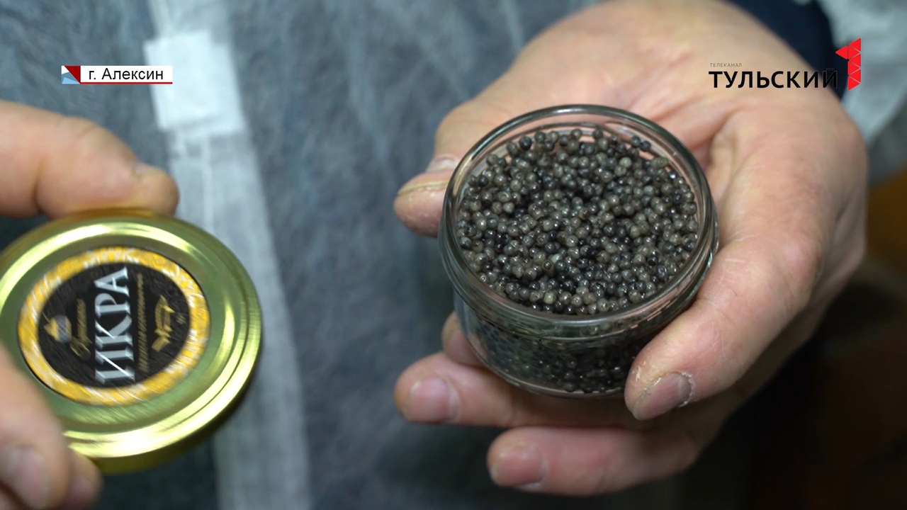Производство черный икры под Алексином: сколько стоит тульский деликатес