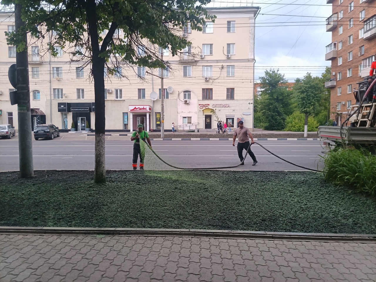 В Туле озеленили Красноармейский проспект по новой технологии - Новости  Тулы и области - 1tulatv