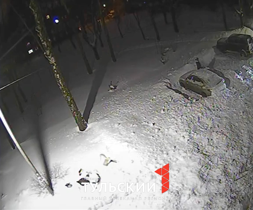 В Узловой сошедший с крыши снег чуть не засыпал женщину: видео