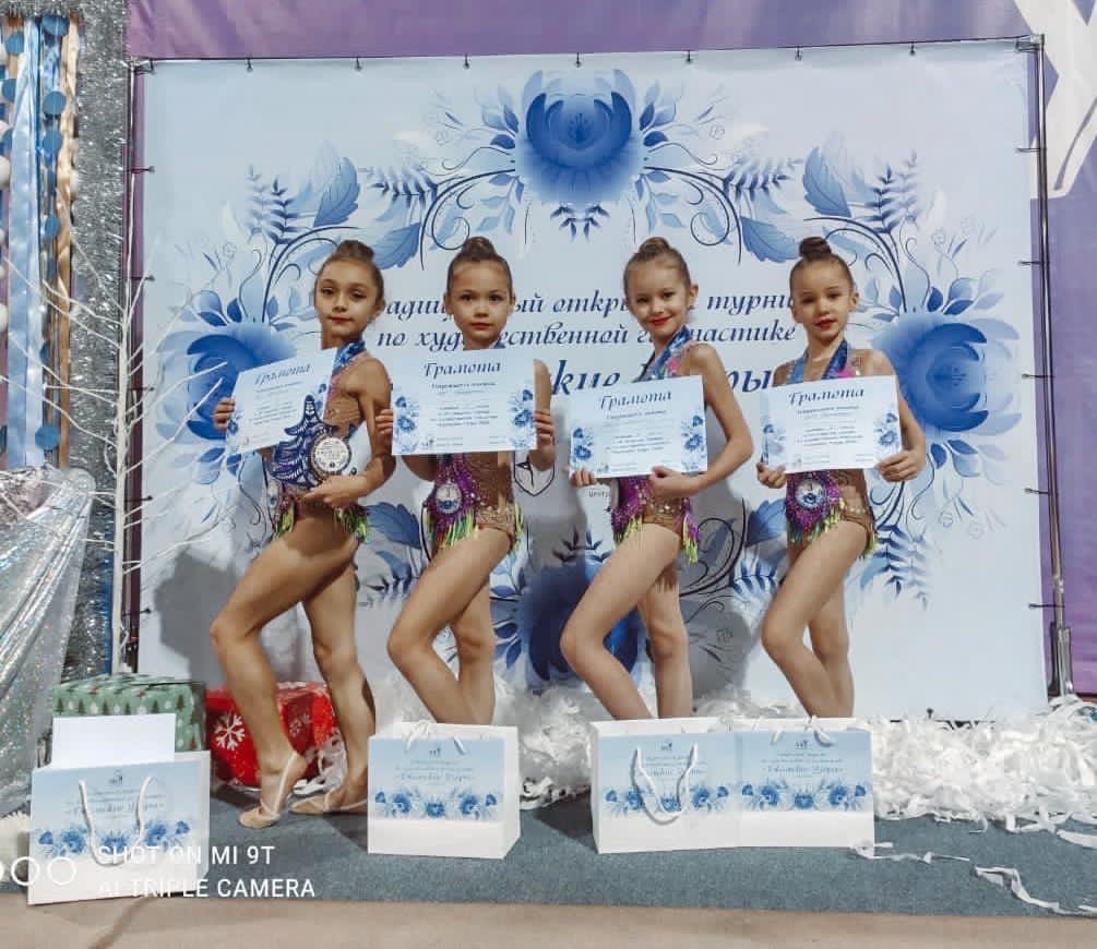 Тульские гимнастки вернулись домой с призами с классификационного турнира