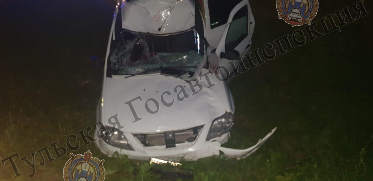 В Туле водитель легковушки пострадал после встречи с лосем