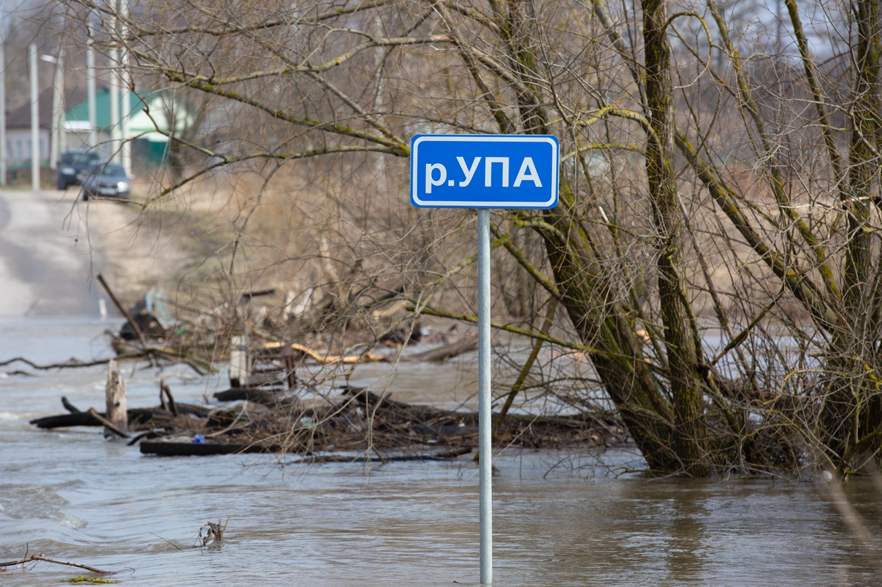 Дизайн проект благоустройства территории