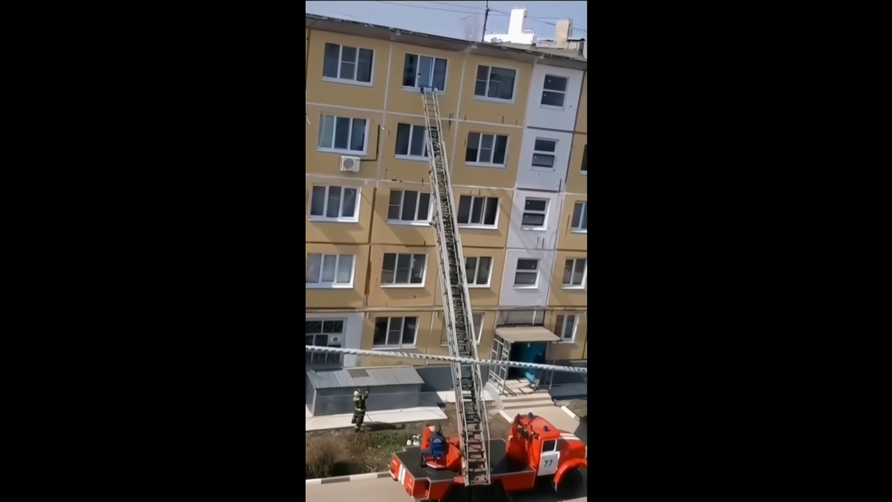 Пожарные в Донском спасли кота, застрявшего в окне на пятом этаже