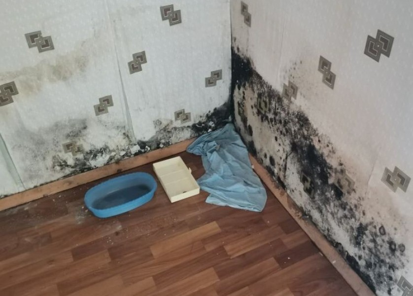 В день поселка в Барсуках открыли стадион В день поселка в Барсуках открыли стадион