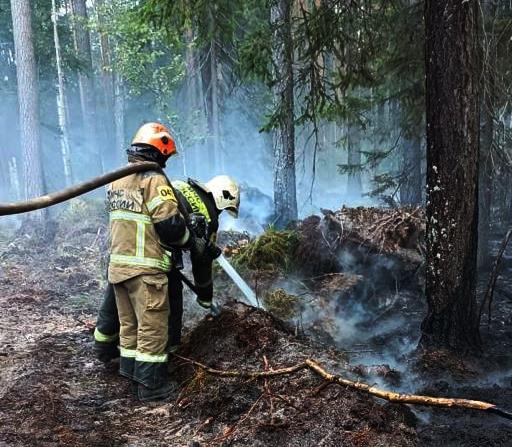 Тульские пожарные вернулись из Рязанской области