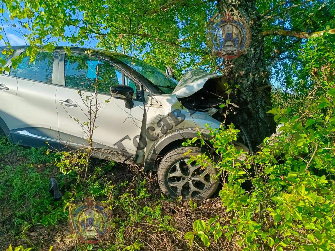 Под Тулой автомобиль Renault Kaptur улетел в кювет и врезался в дерево