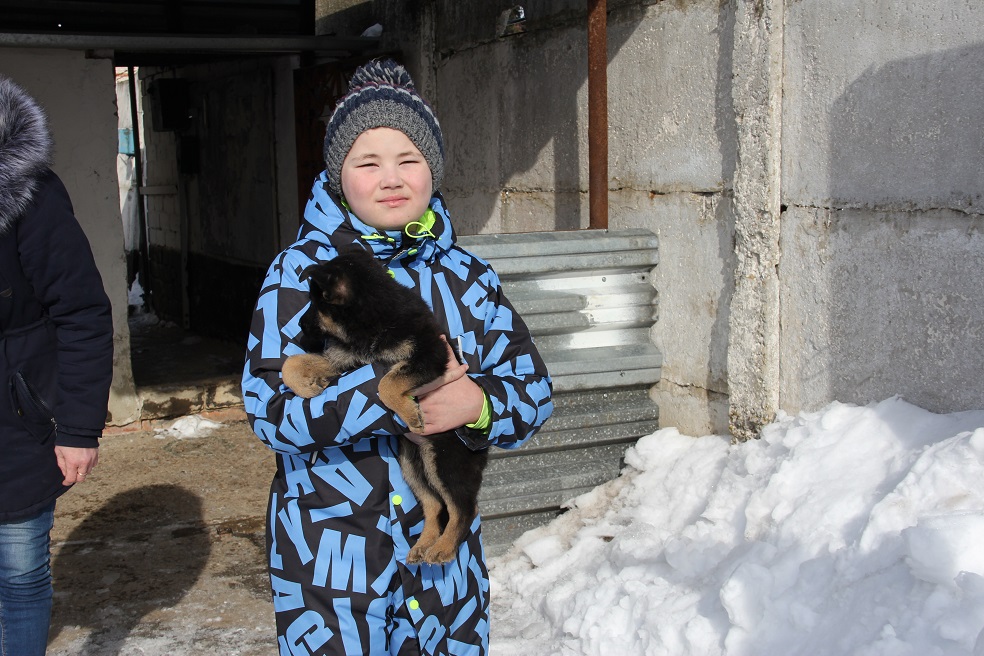 В Туле сотрудники УФСИН устроили для мальчика экскурсию в питомник для служебных собак