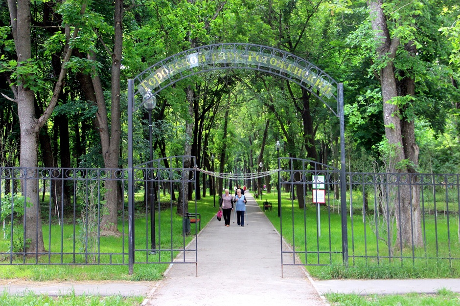 Депутаты Тульской городской Думы переименуют Рогожинский парк