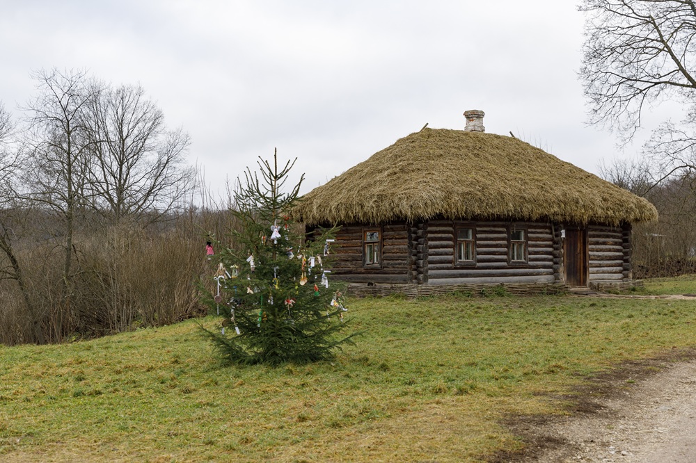 В Ясной Поляне нарядили новогоднюю елку