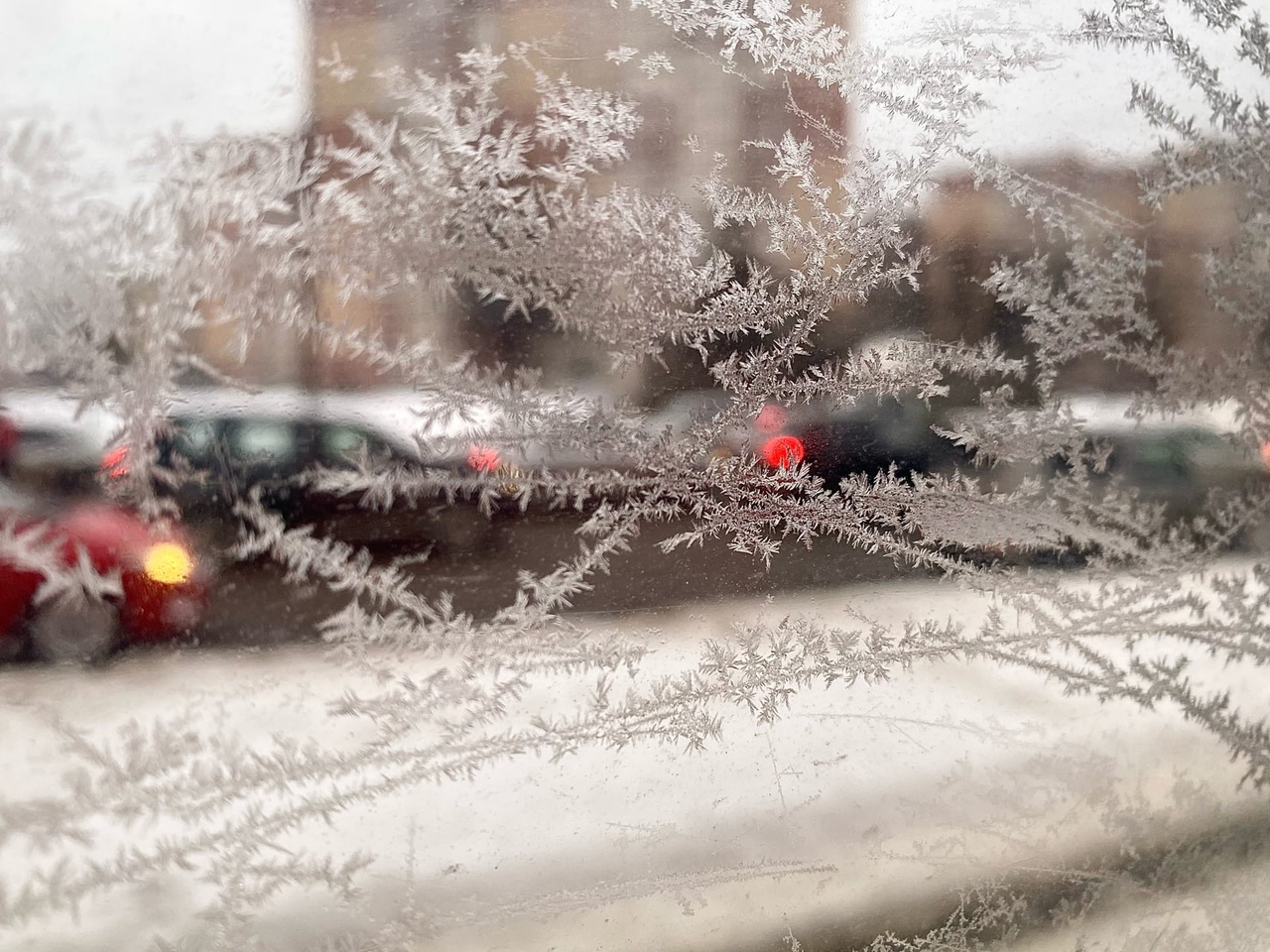 Погода в Туле 28 января: мокрый снег и гололедица