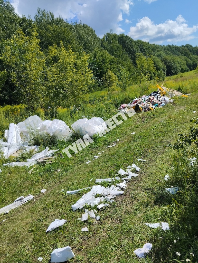 Туляки нашли огромную свалку с трупами животных в деревне Верхнее Елькино -  Новости Тулы и области - 1tulatv