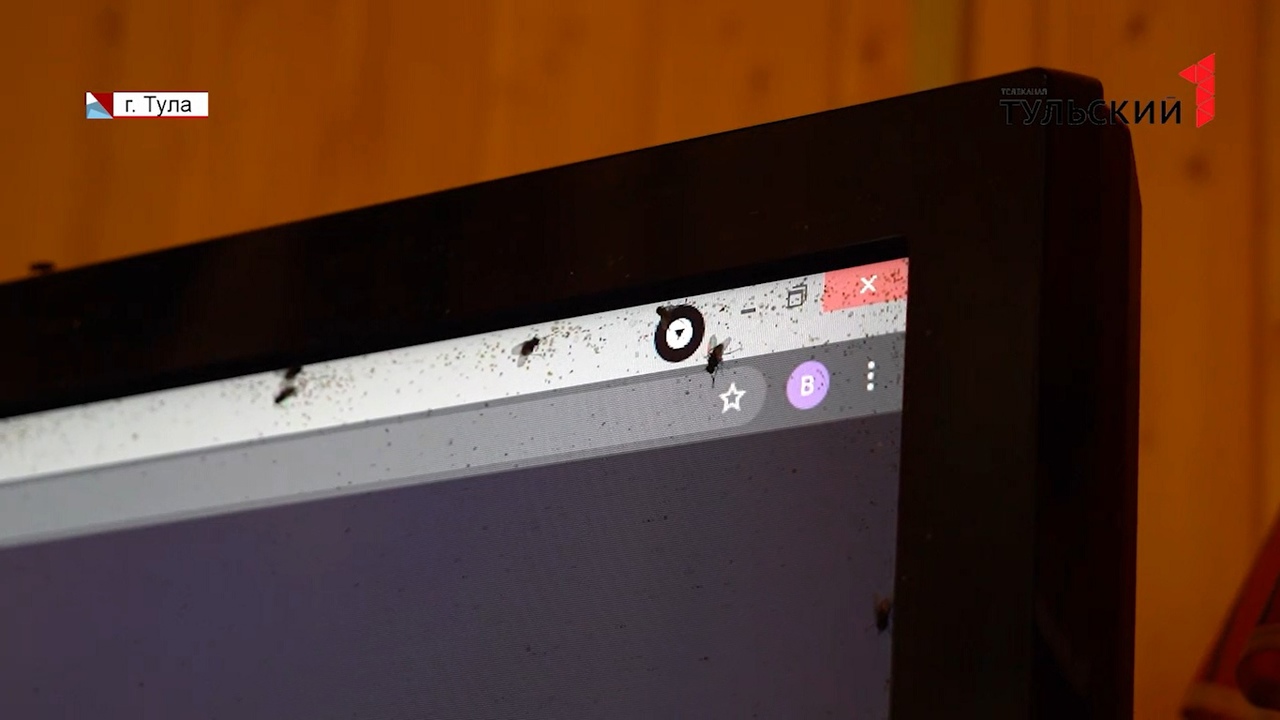 Спрятаться не получается ни на улице, ни дома: деревню в Большой Туле облепили  мухи - Новости Тулы и области - 1tulatv