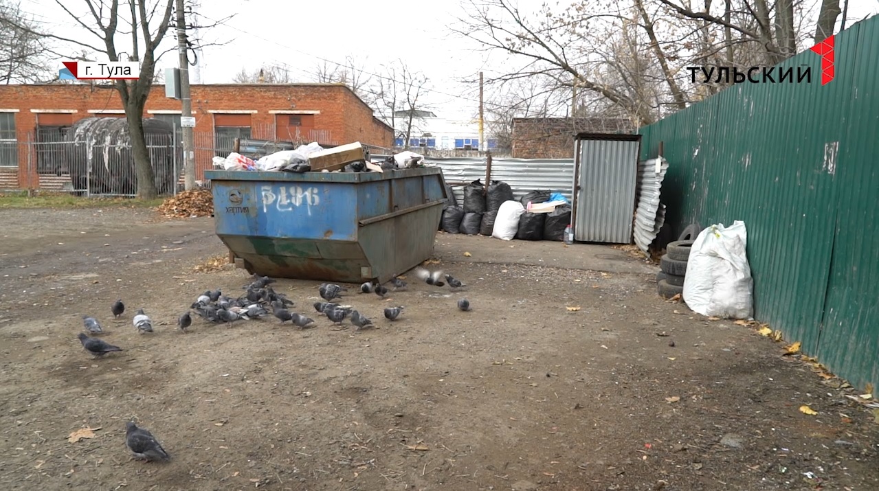 Куда жаловаться тулякам на переполненные мусорные баки во дворе - Новости  Тулы и области - 1tulatv