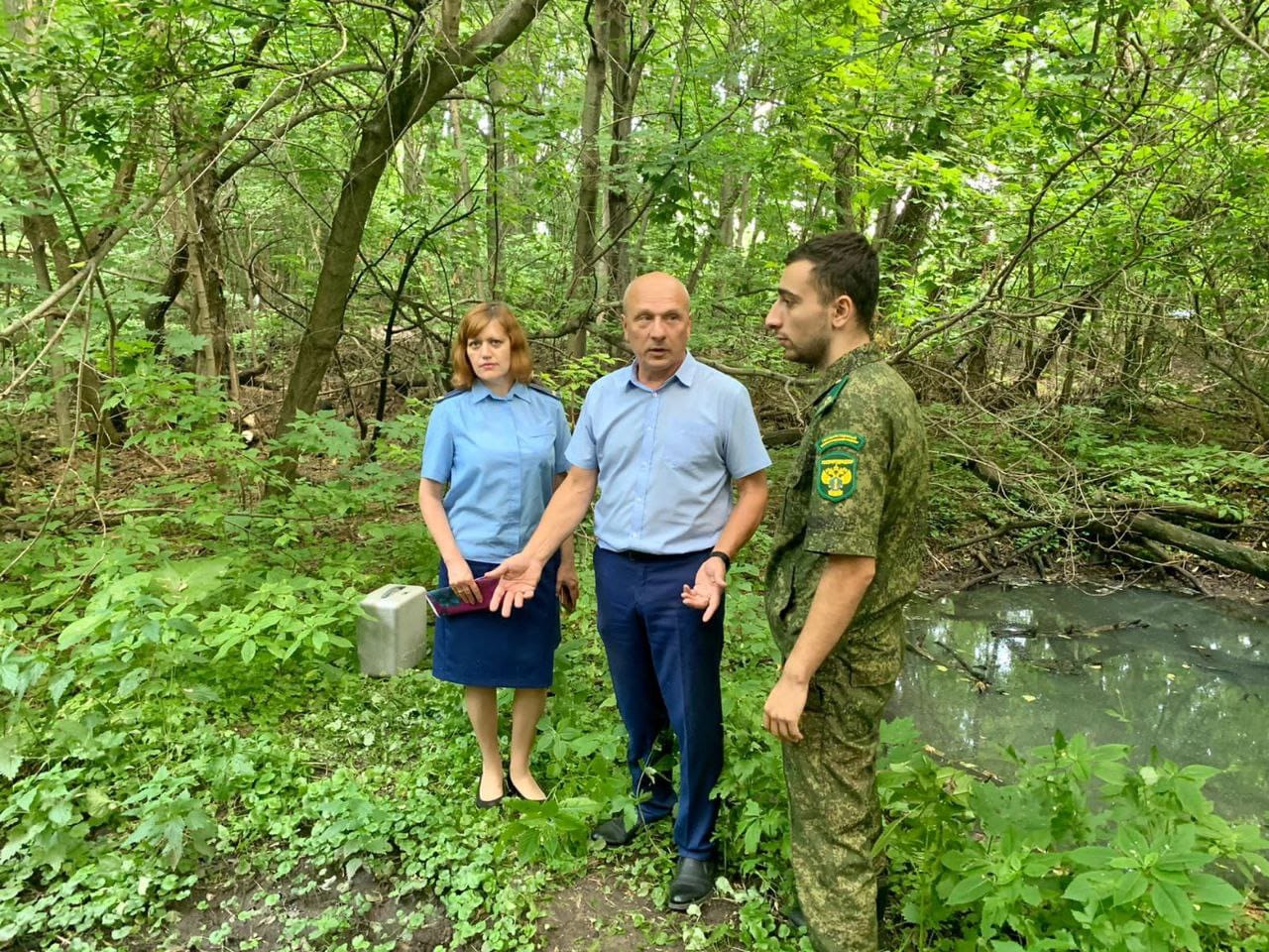 Карачевский лес в Кимовске затапливают сточные воды: администрация