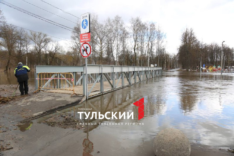 Баташевский Сад Тула Купить