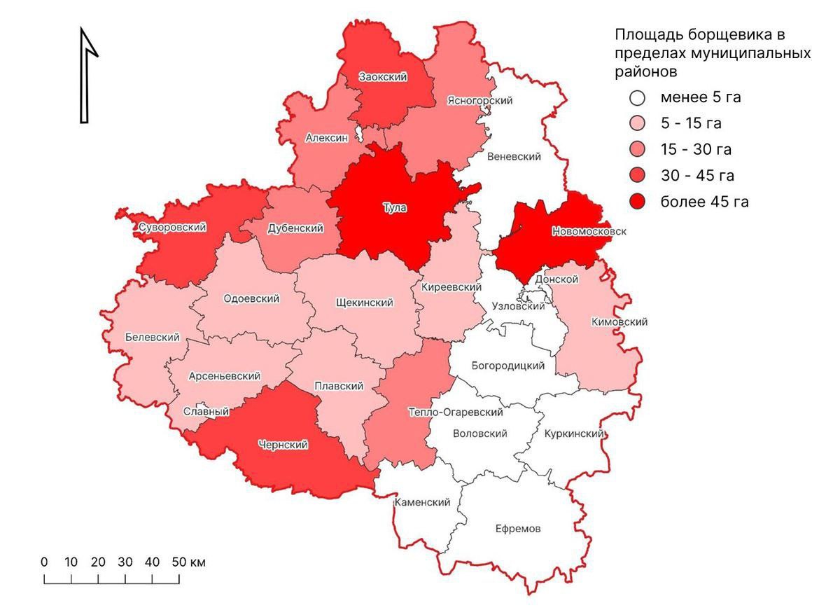 Заросли борщевика в Тульской области оказалось видно из космоса |  13.09.2023 | Тула - БезФормата