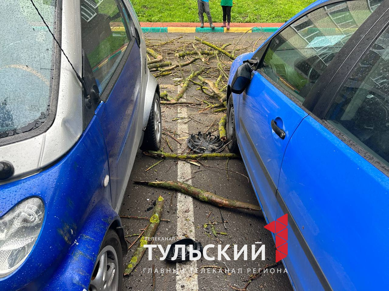 На улице Болдина в Туле дерево рухнуло на многоквартирный дом - Новости  Тулы и области - 1tulatv