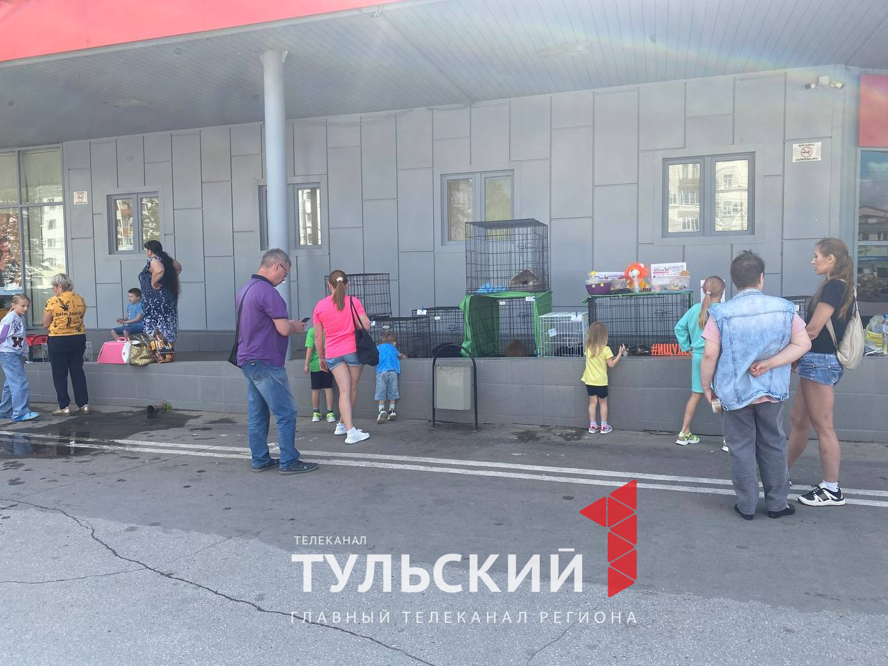 Новости тулы за сутки