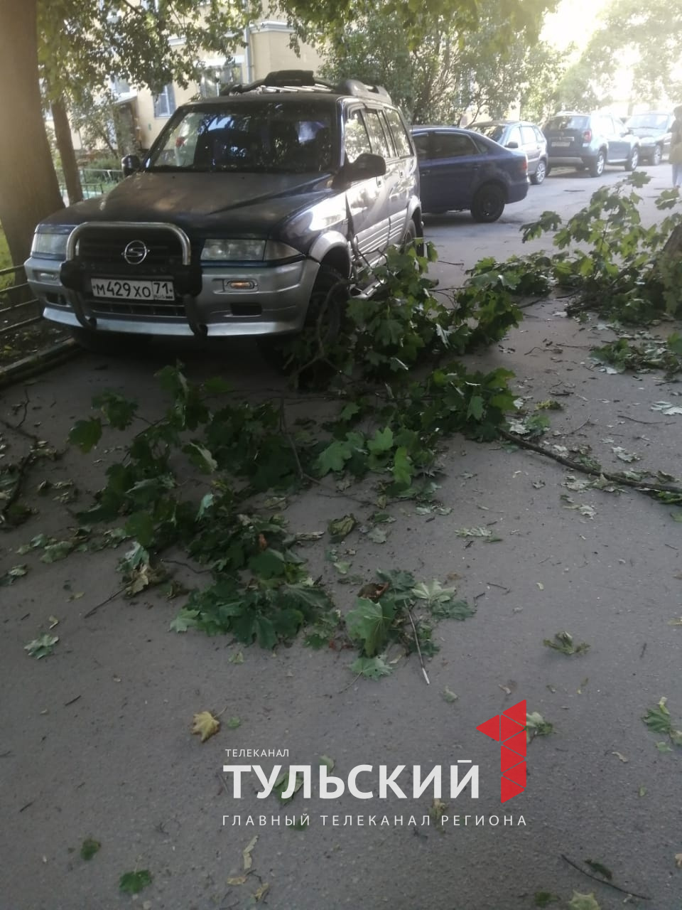 В Туле дерево упало на машину и балкон пятиэтажки - Новости Тулы и области  - 1tulatv