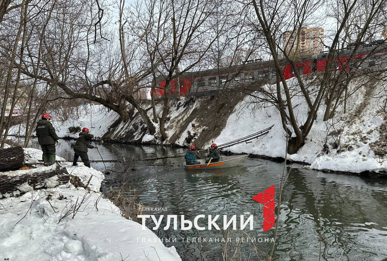 Сколько домов в Туле может затопить во время паводка - Новости Тулы и  области - 1tulatv