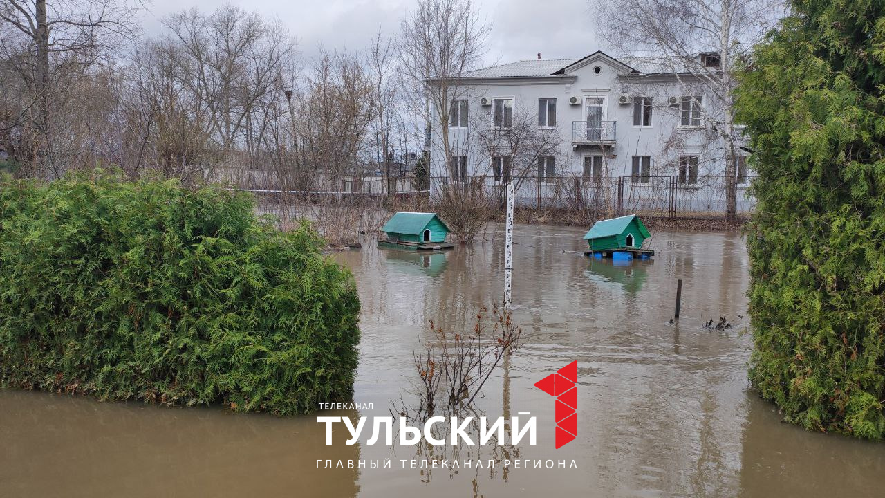 За окном плавают утки: как жители тульских деревень переживают паводок -  Новости Тулы и области - 1tulatv