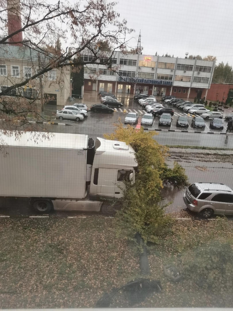 В Туле дерево упало на дорогу около патронного завода - Новости Тулы и