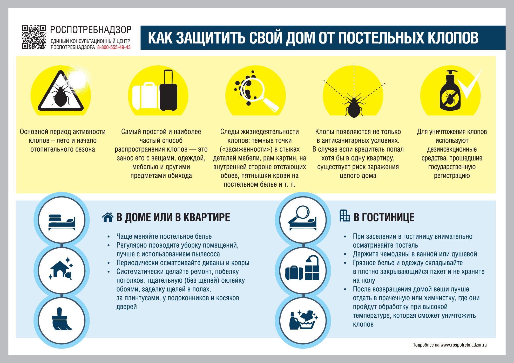 Как россиянам защититься от постельных клопов - Новости Тулы и области -  1tulatv