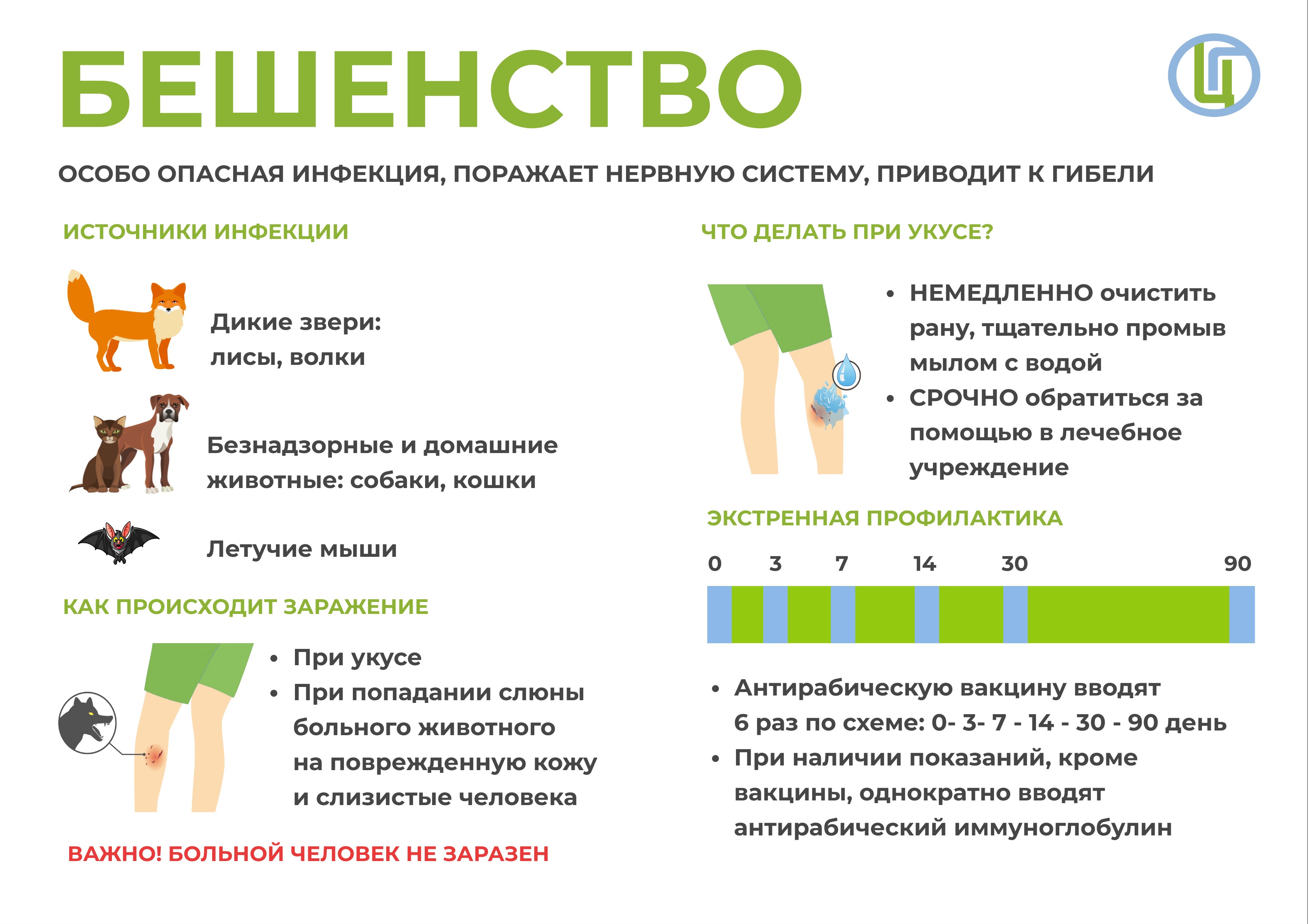 С начала 2023 года на укусы животных в Тульской области пожаловалось более  2 600 человек - Новости Тулы и области - 1tulatv