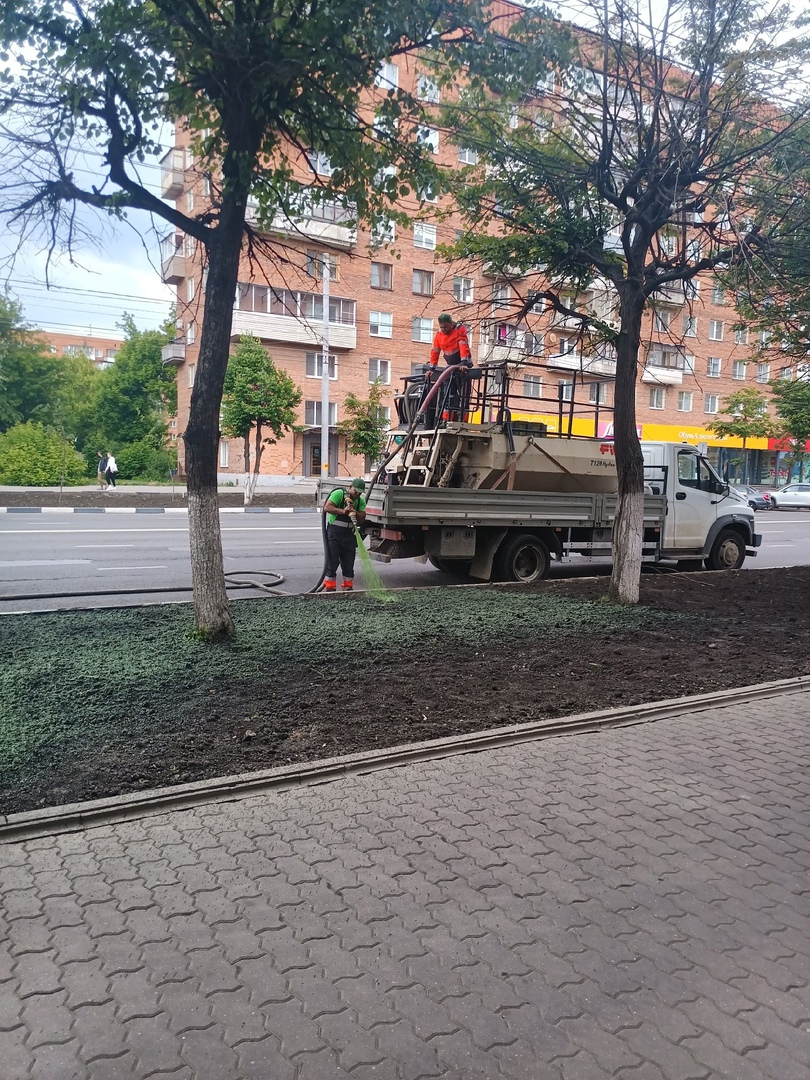 В Туле озеленили Красноармейский проспект по новой технологии | 13.06.2023  | Тула - БезФормата