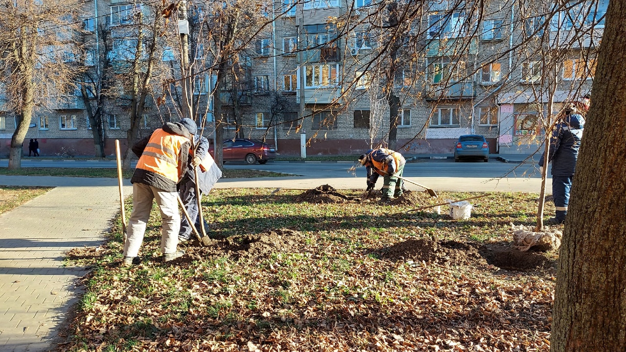 тула пересадка. тула пересадка. молодежный бульвар тула фото. лесной бульвар протвино проект. тула пересадка.
