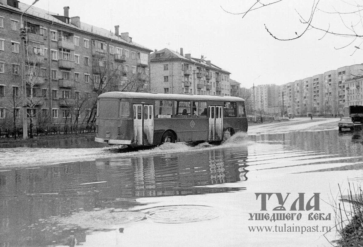 В Туле опубликовали фотографии одного из самых сильных наводнений - Новости  Тулы и области - 1tulatv