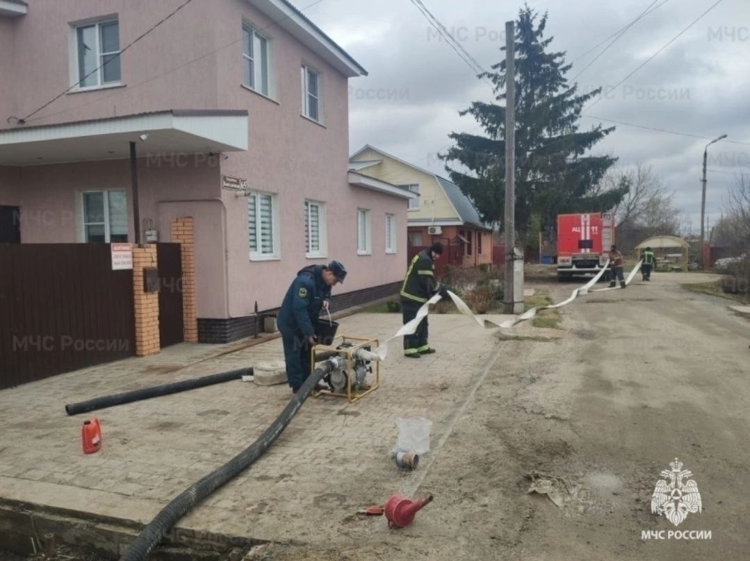 В Тульской области из-под воды освободились 1 мост и 1 участок дороги |  30.03.2023 | Тула - БезФормата