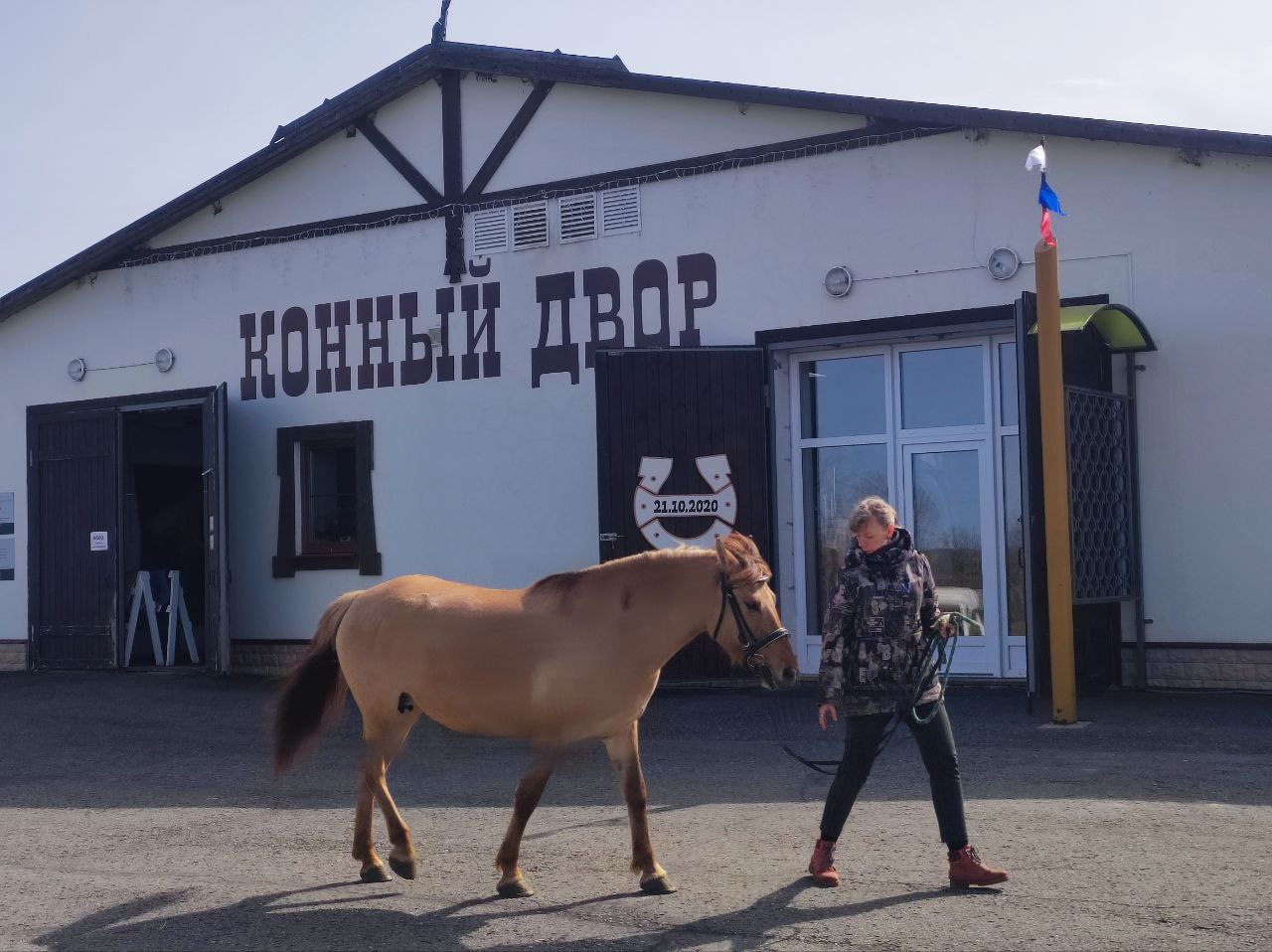 На Куликовом поле поселились удмуртские лошадки Бербера и Коломбина -  Новости Тулы и области - 1tulatv