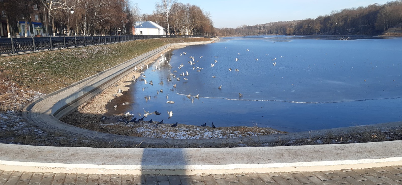 Набережная В Богородицке Фото Новая