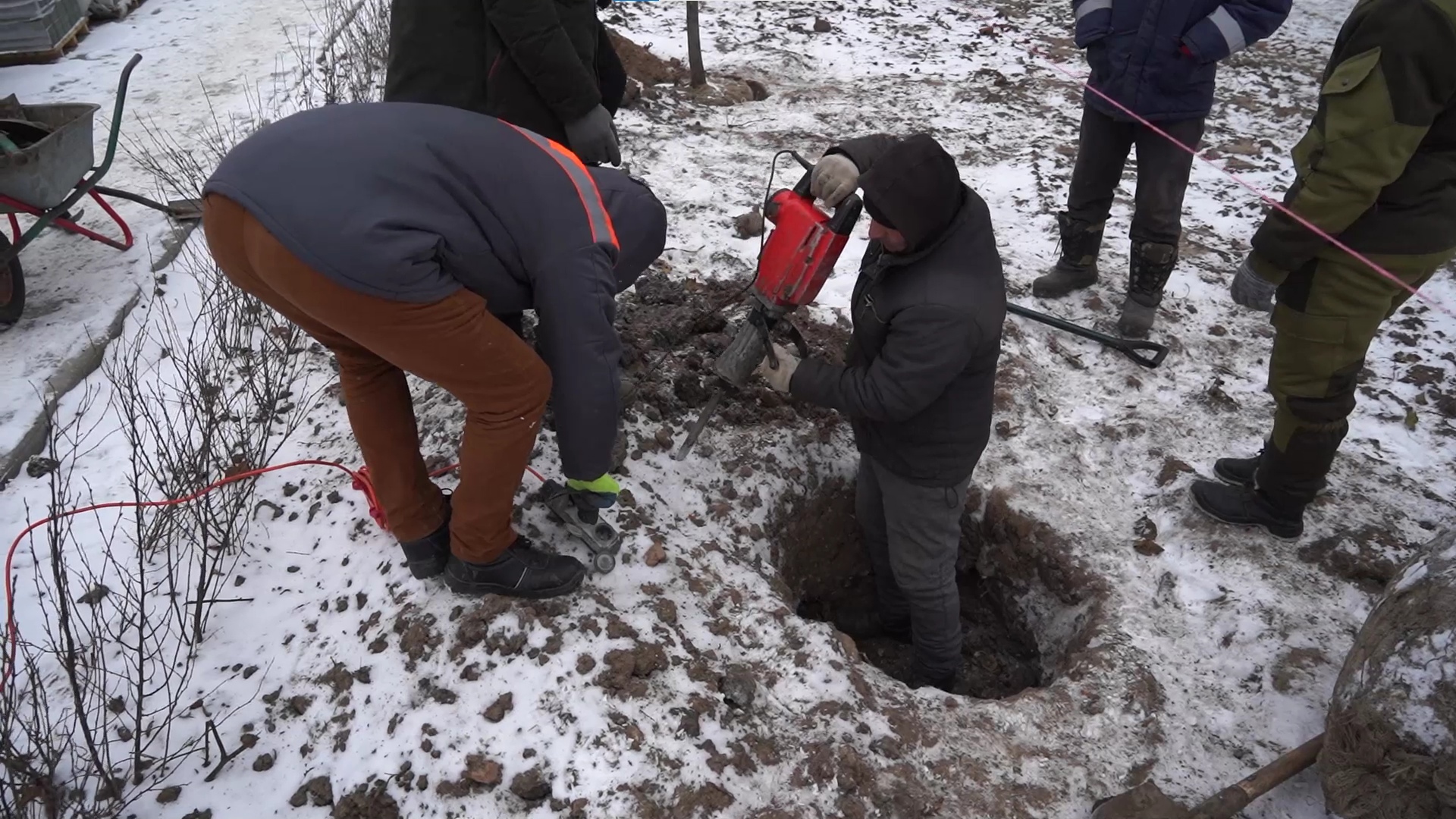 Щекинские чиновники объяснили высадку деревьев в 8-градусный мороз -  Новости Тулы и области - 1tulatv