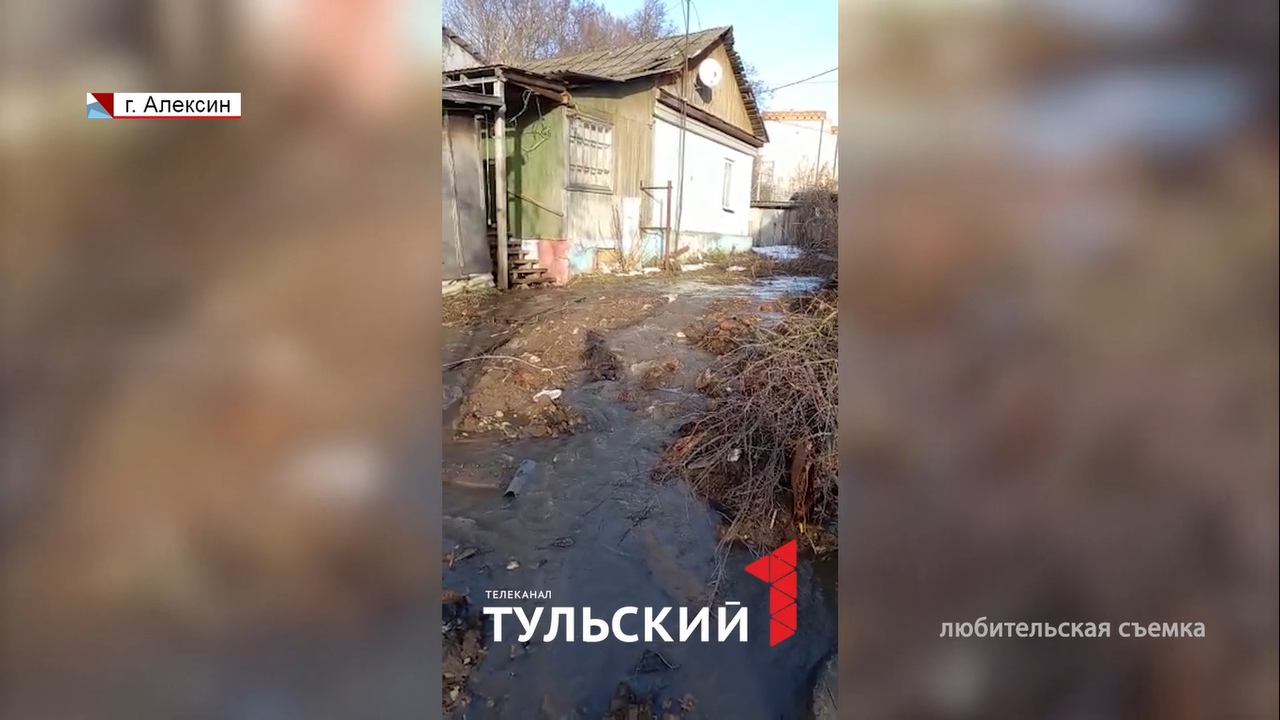 Вся зараза течет в наши огороды»: в Алексине канализация затопила  приусадебные участки - Новости Тулы и области - 1tulatv