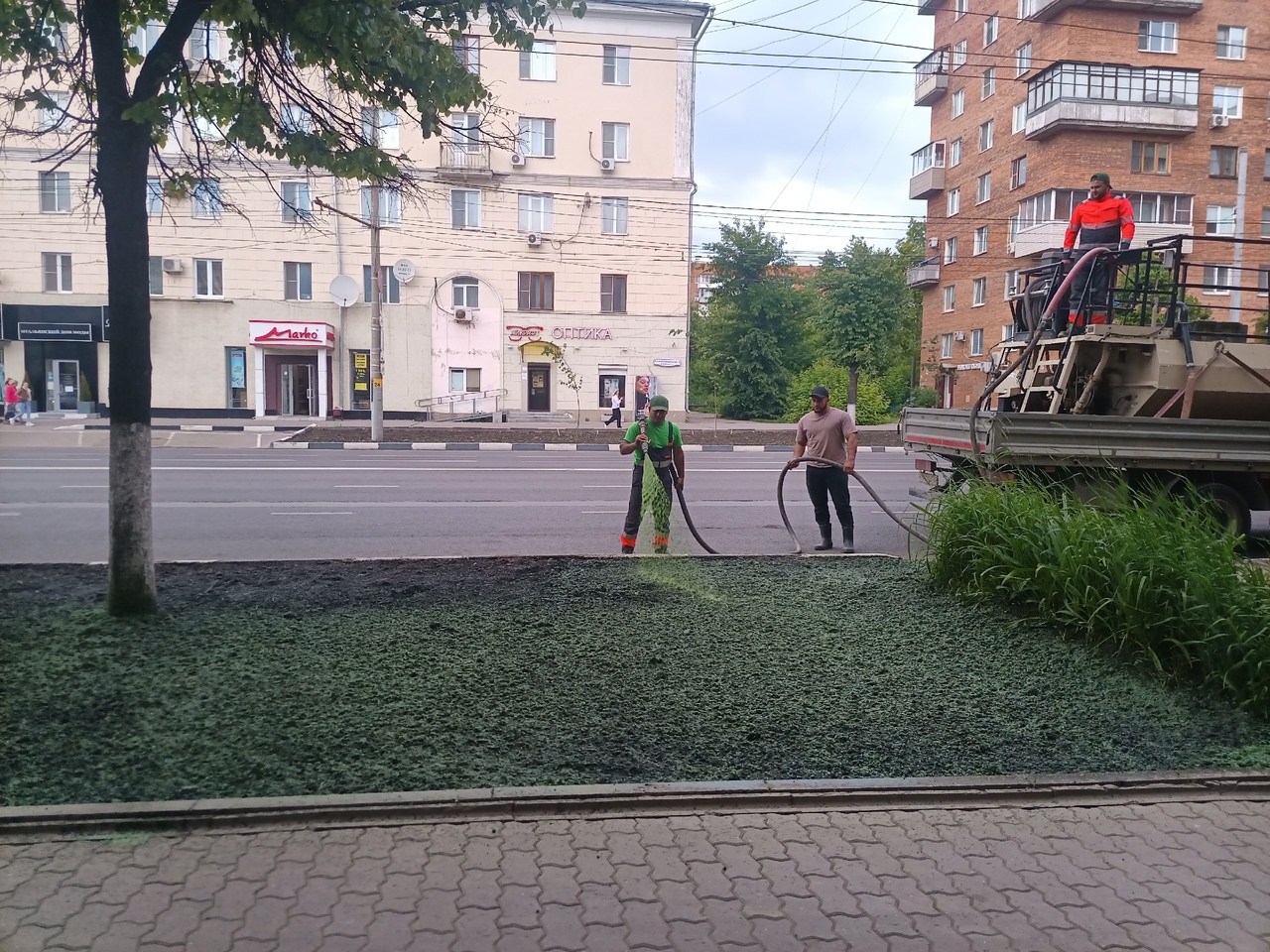 В Туле озеленили Красноармейский проспект по новой технологии | 13.06.2023  | Тула - БезФормата