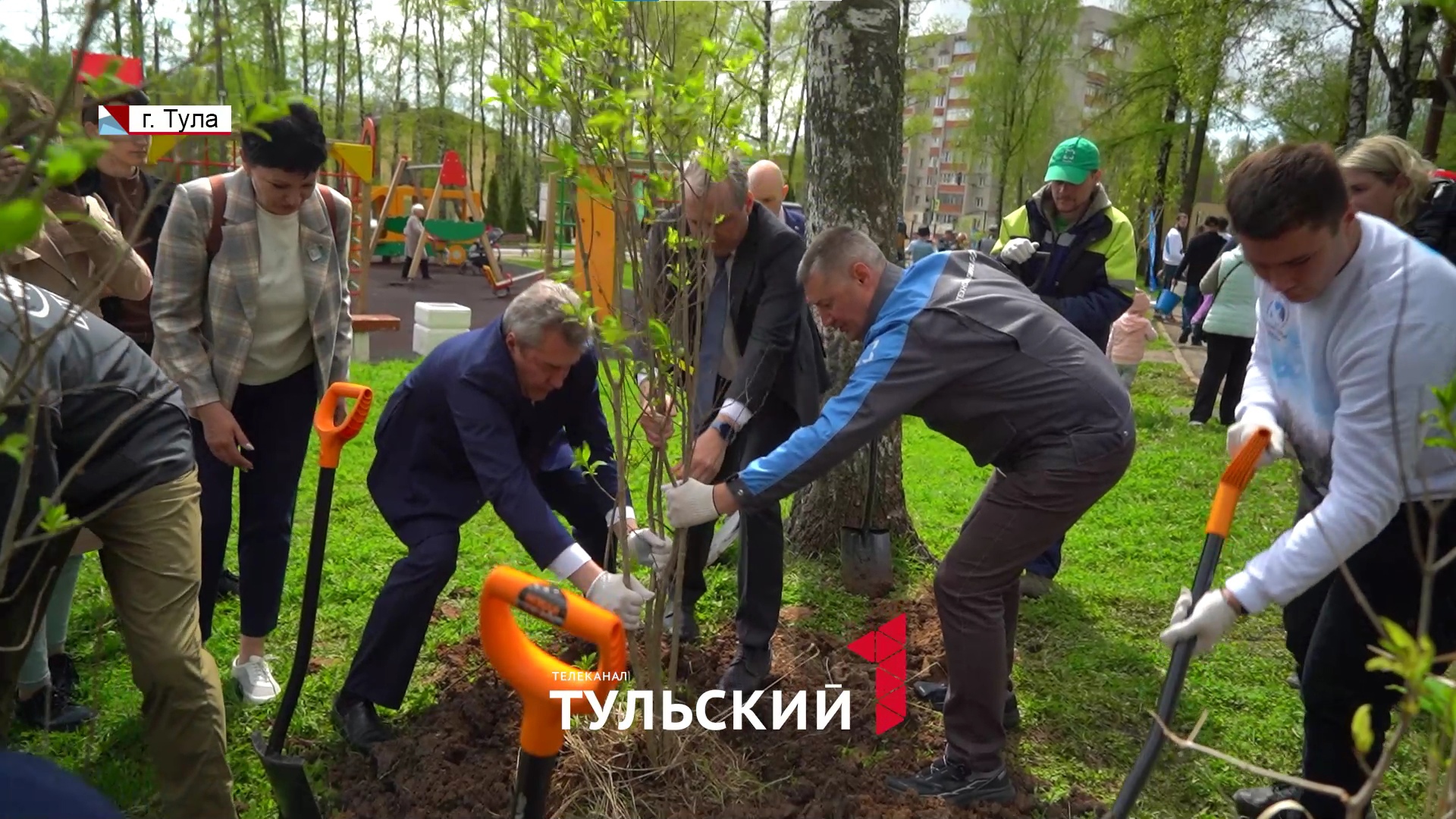 В Пролетарском парке Тулы высадили аллею сирени - Новости Тулы и области -  1tulatv