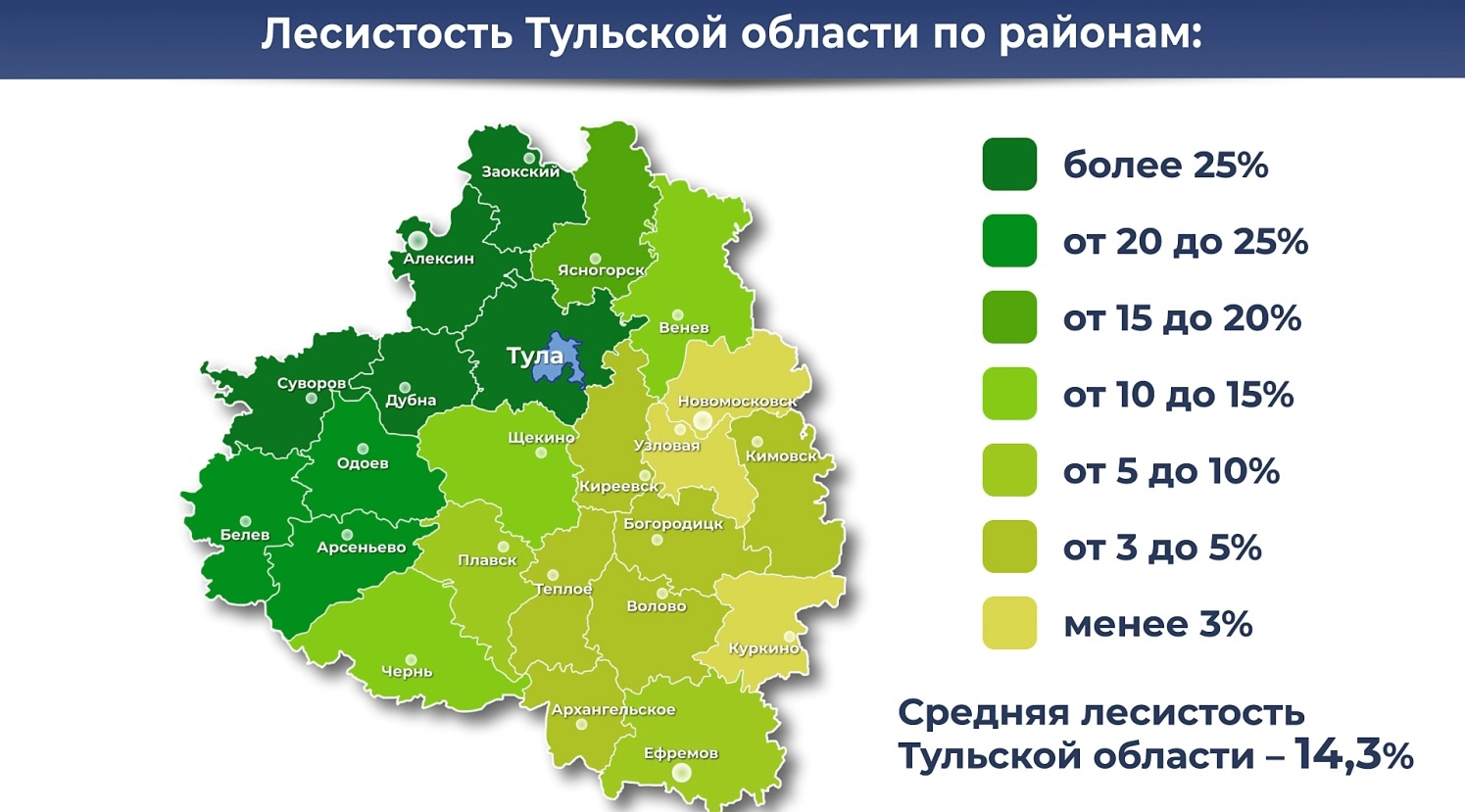 площадь лесов