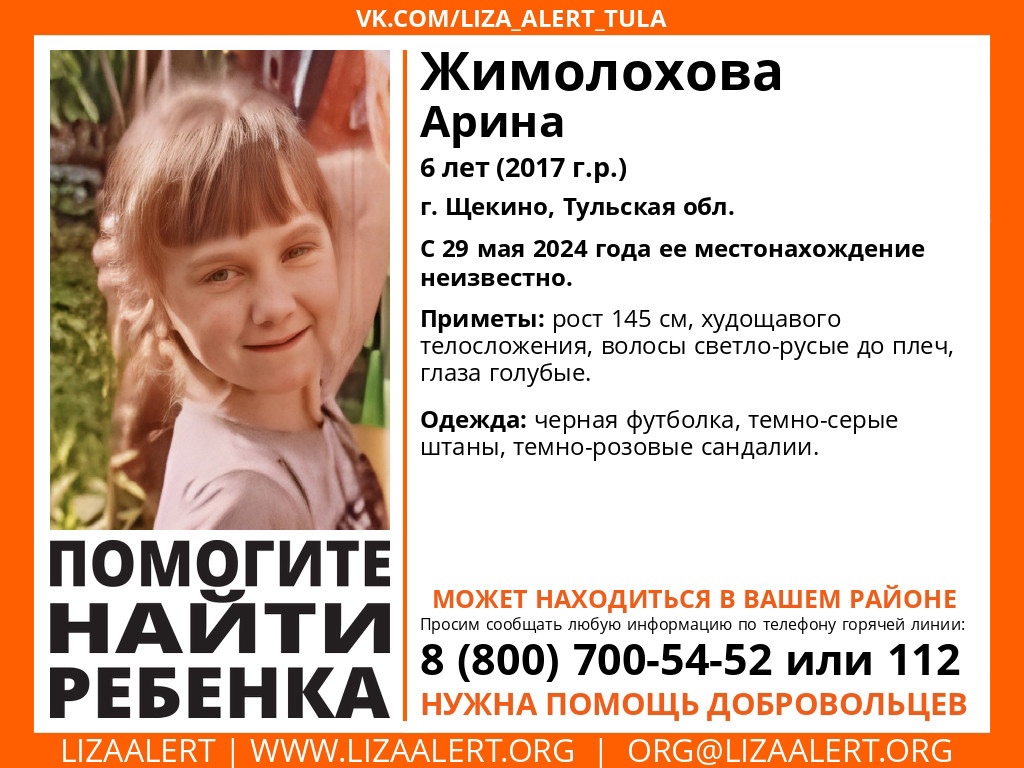 В Щекине пропала 6-летняя девочка | 29.05.2024 | Тула - БезФормата