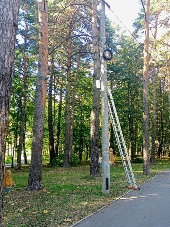 Парк Жалка В Алексине Фото