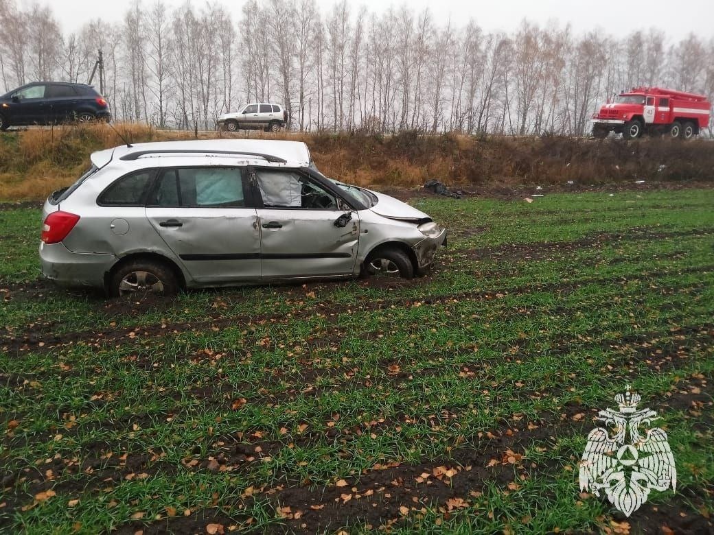 В страшном ДТП в Каменском районе погибли 3 человека | 02.11.2023 | Тула -  БезФормата