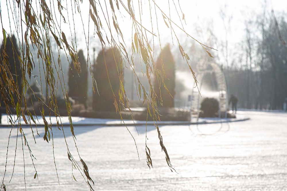 Тульскую область 29 ноября накроет густой туман